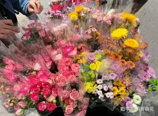 鲜花都可以做什么生意赚钱 鲜花都可以做什么生意赚钱快