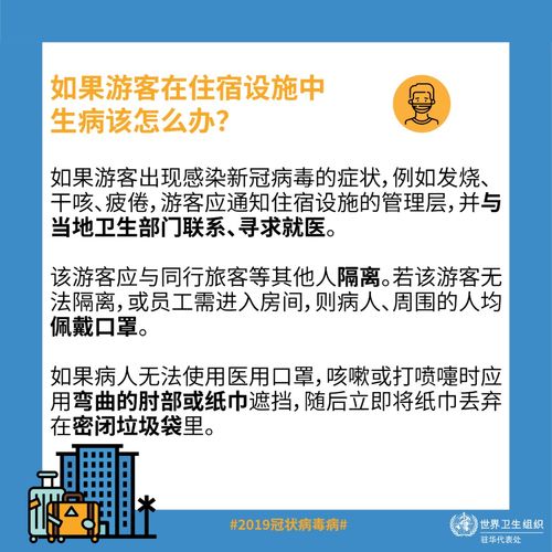 揭秘易查酒店记录真实性，一场关于隐私与安全的较量