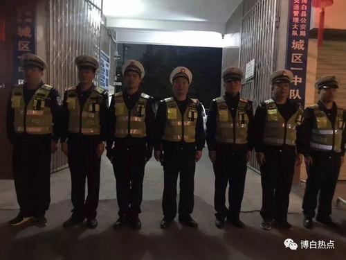 刑警大队查酒店记录，揭秘神秘执法行动