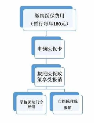 医保取现需要什么流程和手续