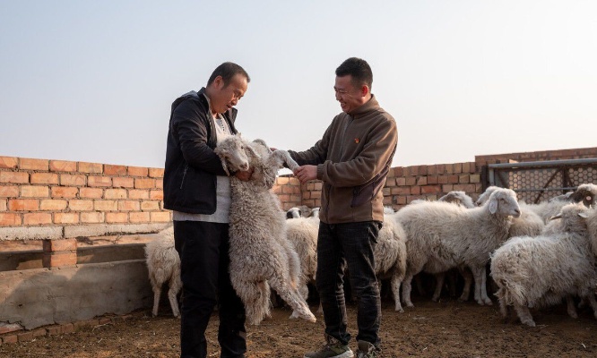 农牧民做什么生意好赚钱 农牧民做什么生意好赚钱快