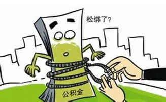 公积金取现不付手续费，政策解读与操作指南