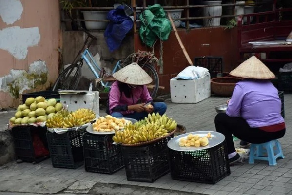 越南人在家做什么好赚钱 越南人在家做什么好赚钱呢