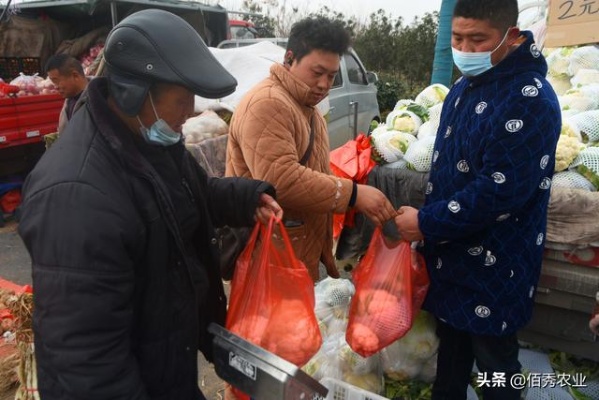 4个村里做什么生意好赚钱 四个村里人