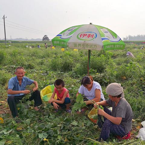 一千块钱做什么最赚钱图片 一千块钱能做什么