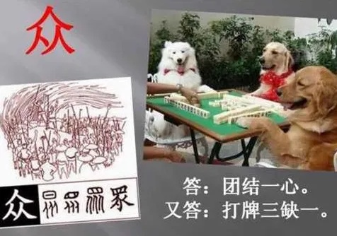 湖北麻将作弊狗，湖北麻将作弊狗揭秘，揭露一场麻将游戏的黑色产业链