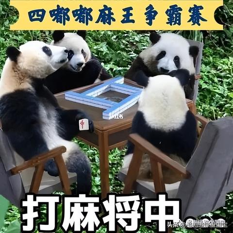 怎样防止熊猫麻将作弊， 熊猫麻将防作弊策略，保护游戏公平性和用户体验