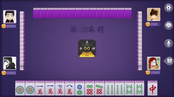 斗棋麻将作弊工具，揭秘麻将界的作弊工具，斗棋麻将作弊工具的真相与危害