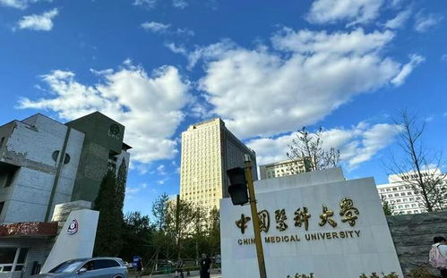 辽大的就业怎么样 辽宁大学就业怎么样