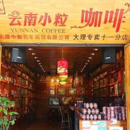 大理网红店加盟品牌一览