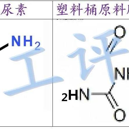 池塘边做什么最赚钱图片 池塘边吧