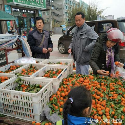 年前做什么行业比较好赚钱 年前做点什么小生意赚钱