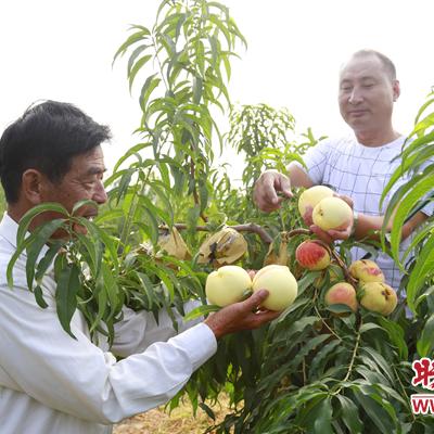 生产厂区做什么生意好赚钱 厂区外面做什么生意赚钱