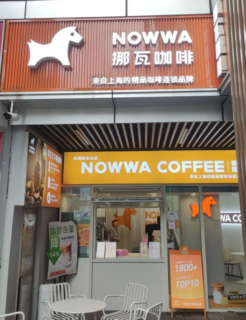 挪瓦加盟店的品牌多元化