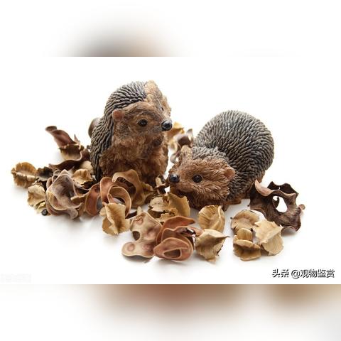 母婴品牌康——呵护宝宝成长每一步