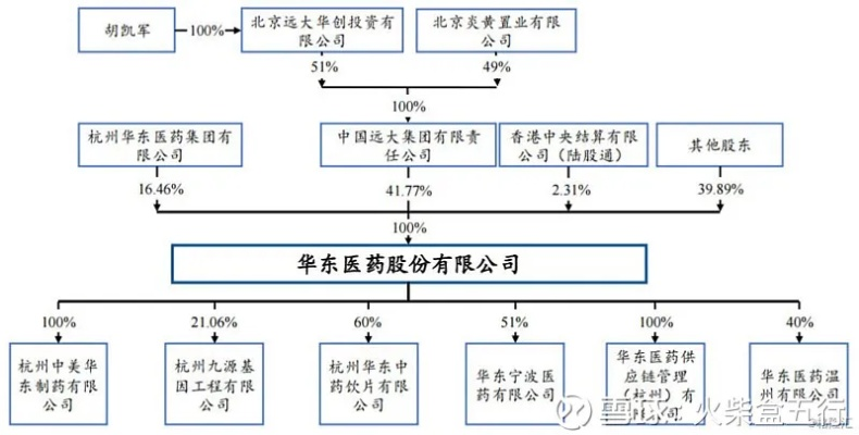 华东医药品牌情况深度解析