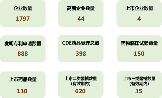 国内医药品牌崛起之路