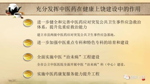 岭南中医药品牌大全，传承与创新的交响曲