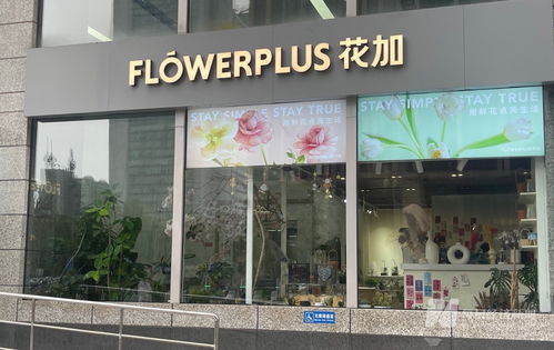 杭州品牌减肥加盟店全解析