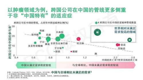 全球中国医药品牌的崛起之路