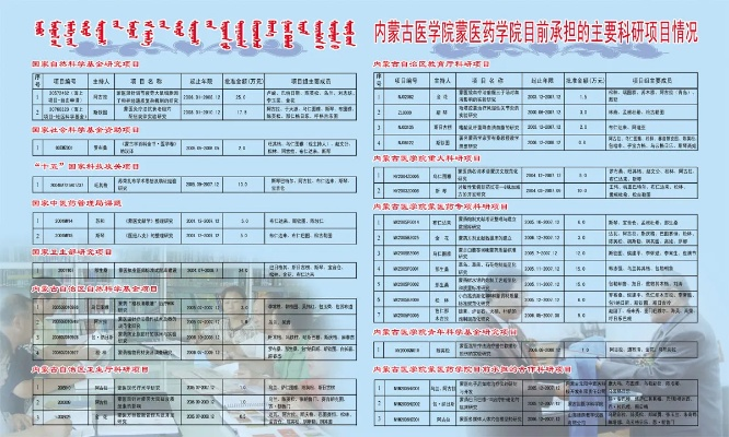 内蒙古医药品牌补助标准解析