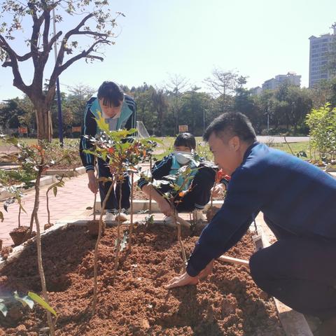 中医药品牌建设的重要性