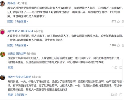 公安系统查开房, 公安系统查开房，隐私保护与法律执行的平衡