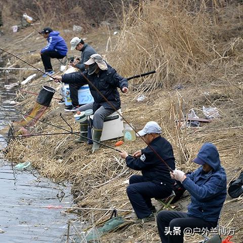 李二鱼火锅加盟品牌大揭秘