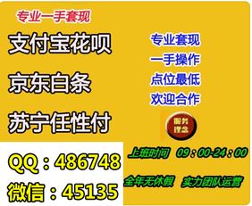 微店放心花商品套出来怎么操作,微店放心花商品套现操作指南