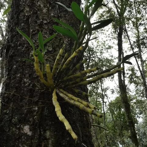 探索医药品牌的奥秘