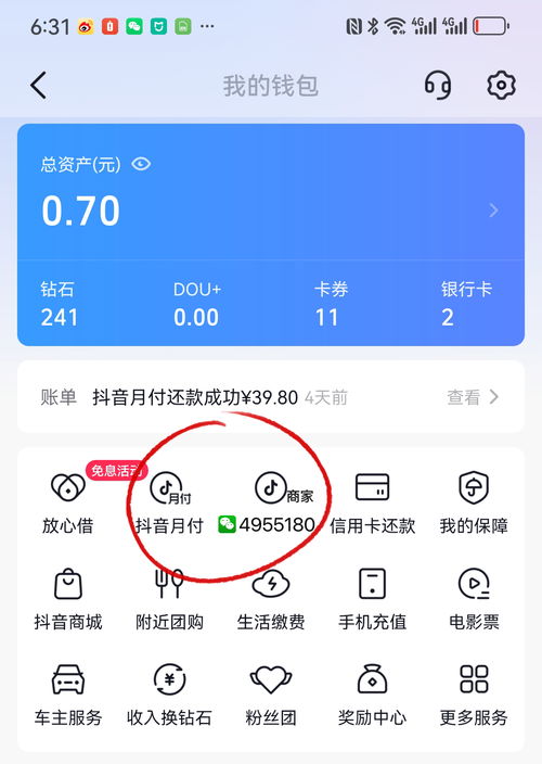 抖音月付套出来怎么弄到微信上去,抖音月付套现到微信，详解操作流程与风险提示