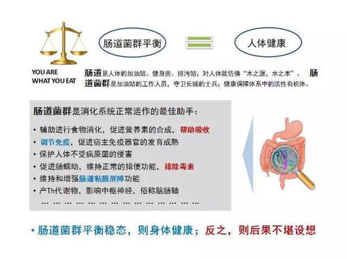 守护肠道健康，益生菌如何成为医药品牌的明星？