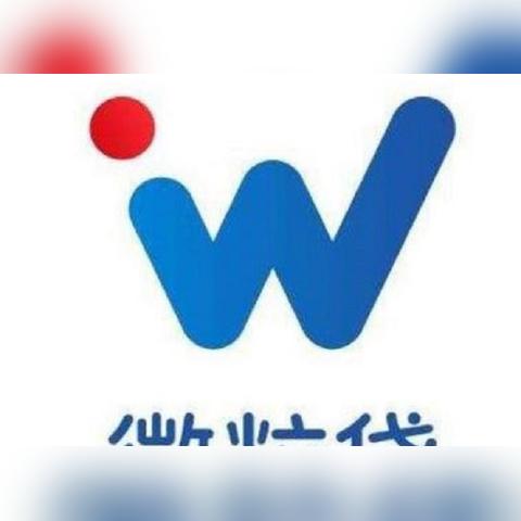 美团月付怎样可以套出来金,揭秘美团月付的提现策略，安全、合法还是风险重重？