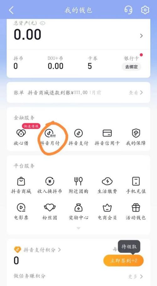 抖音月付套出来24小时在线可以吗,抖音月付套出来24小时在线可以吗——如何实现高效利用抖音月付功能？