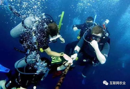 探索水下世界的奥秘——潜水户外品牌的探险之旅