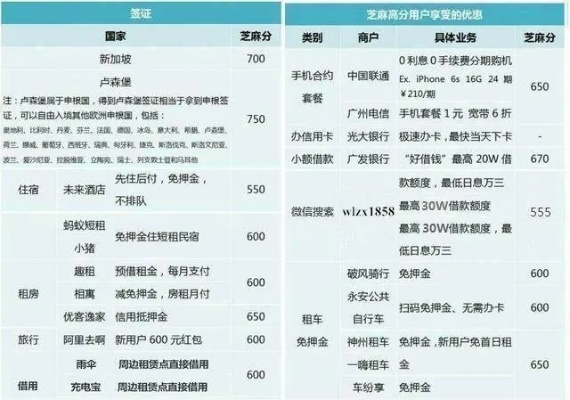 微信分付套出来找谁举报,微信分付套现风险与举报指南