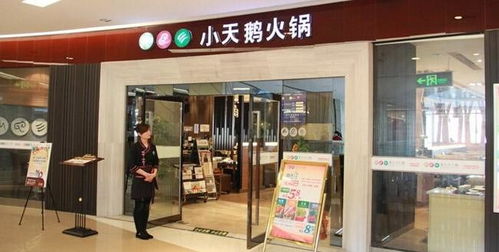 温州火锅加盟店品牌大揭秘