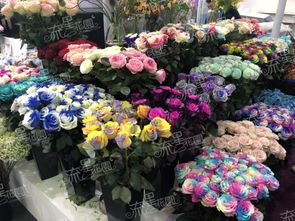 潢川鲜花加盟店品牌大揭秘