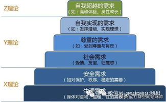 医药品牌销售流程，从了解客户需求到成交的全过程