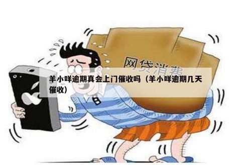 羊小咩到底能不能套现,羊小咩能否套现？深度解析一下！