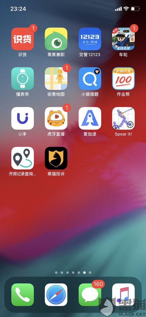 查开房记录app,揭秘隐私泄露背后的查开房记录APP