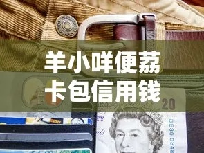 羊小咩便荔卡包额度可以提现么,羊小咩便荔卡包额度提现全攻略