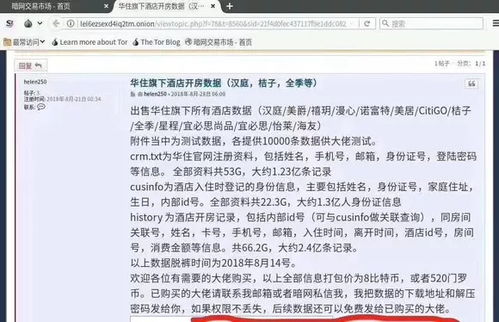 如何查酒店消息内容记录,如何查酒店消息内容记录，一步步教你轻松搞定