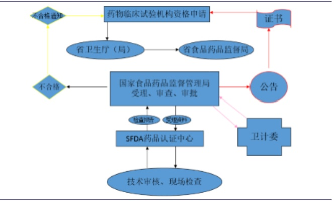 医药品牌开发流程的探索与实践