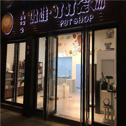 宠物连锁店加盟品牌大揭秘