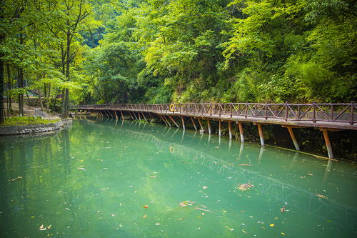 探索日本的医药宝藏，开启健康之旅