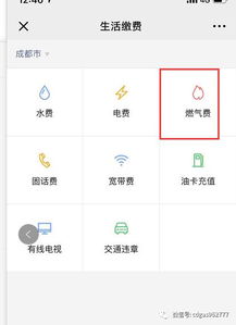 微信分付怎么买东西套出来,微信分付怎么买东西套出来？实用攻略与案例分析