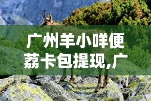 羊小咩便荔卡包贷款如何提现,羊小咩便荔卡包贷款提现全攻略