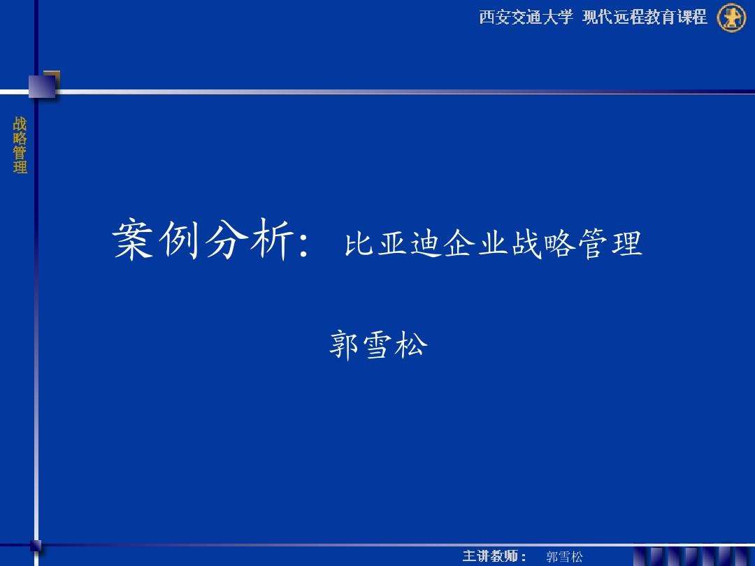 比亚迪案例分析 比亚迪案例分析论文