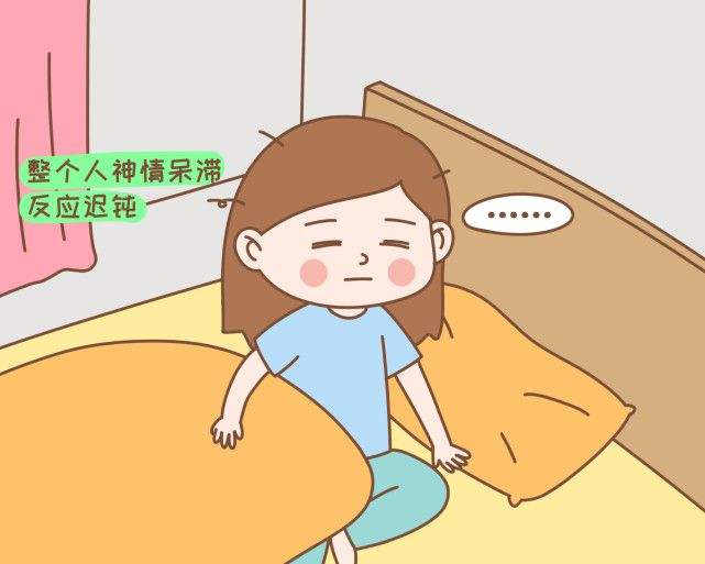 日睡夜行是什么生肖 夜行的生肖指什么生肖